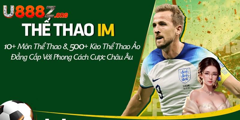 Các bộ môn cá cược IM thể thao